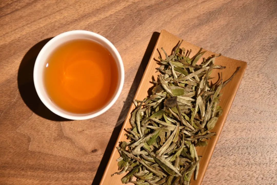 十二年典藏，不负时光
