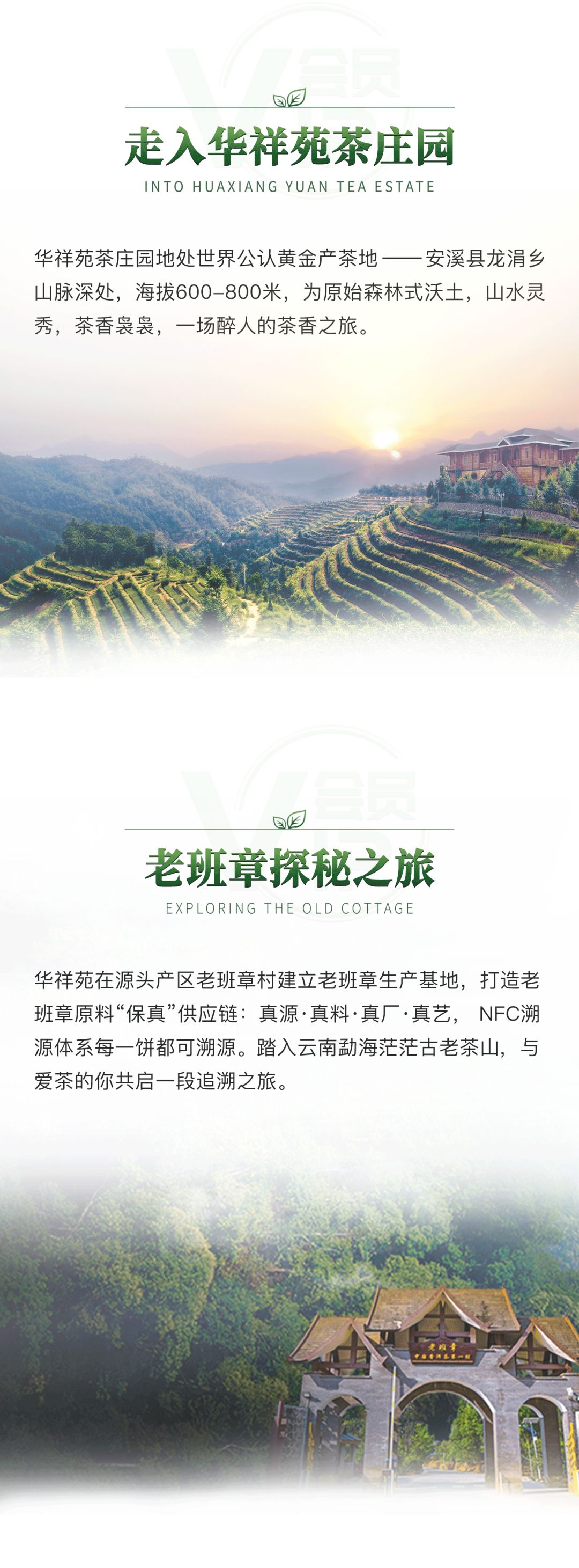 喜迎国庆，这里有一份深度寻茶之旅邀您前来！