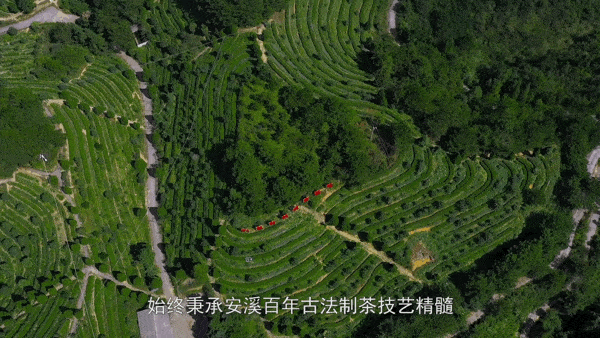 品质为先