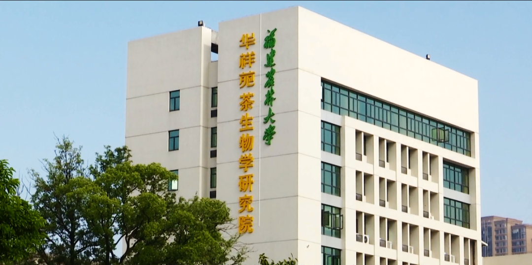 中国茶加盟