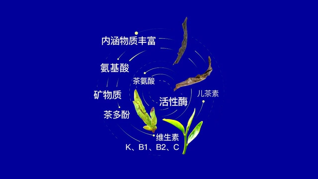 中国茶加盟