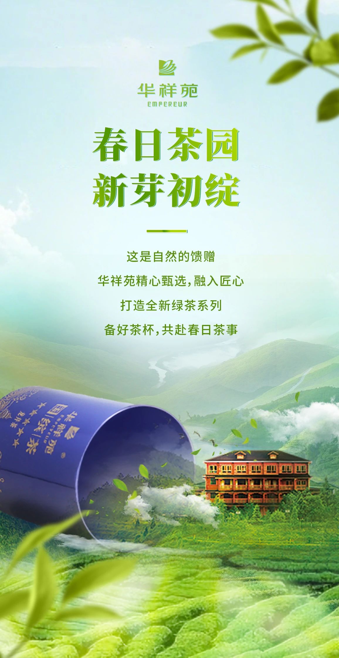 绿茶加盟