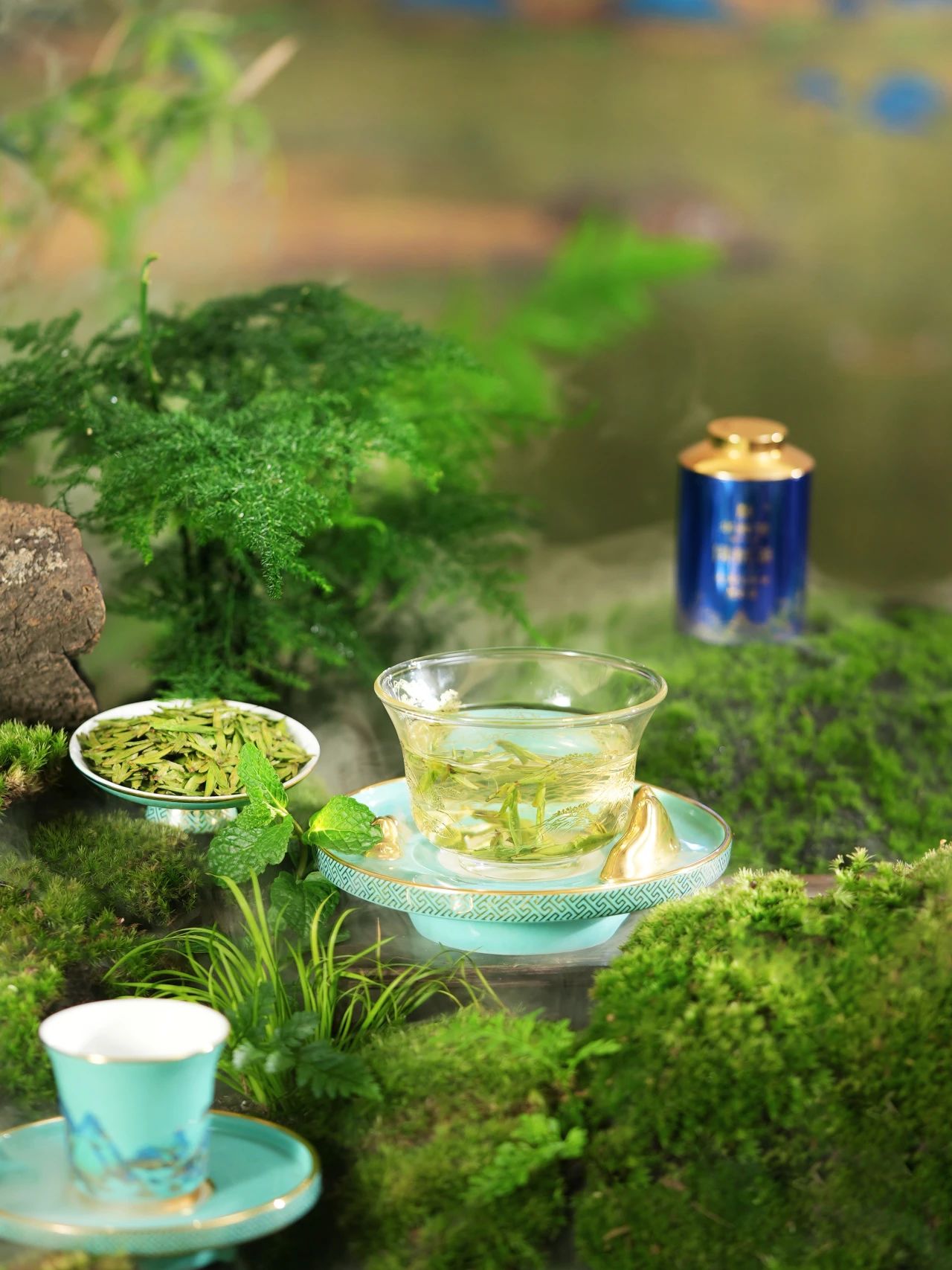 绿茶加盟