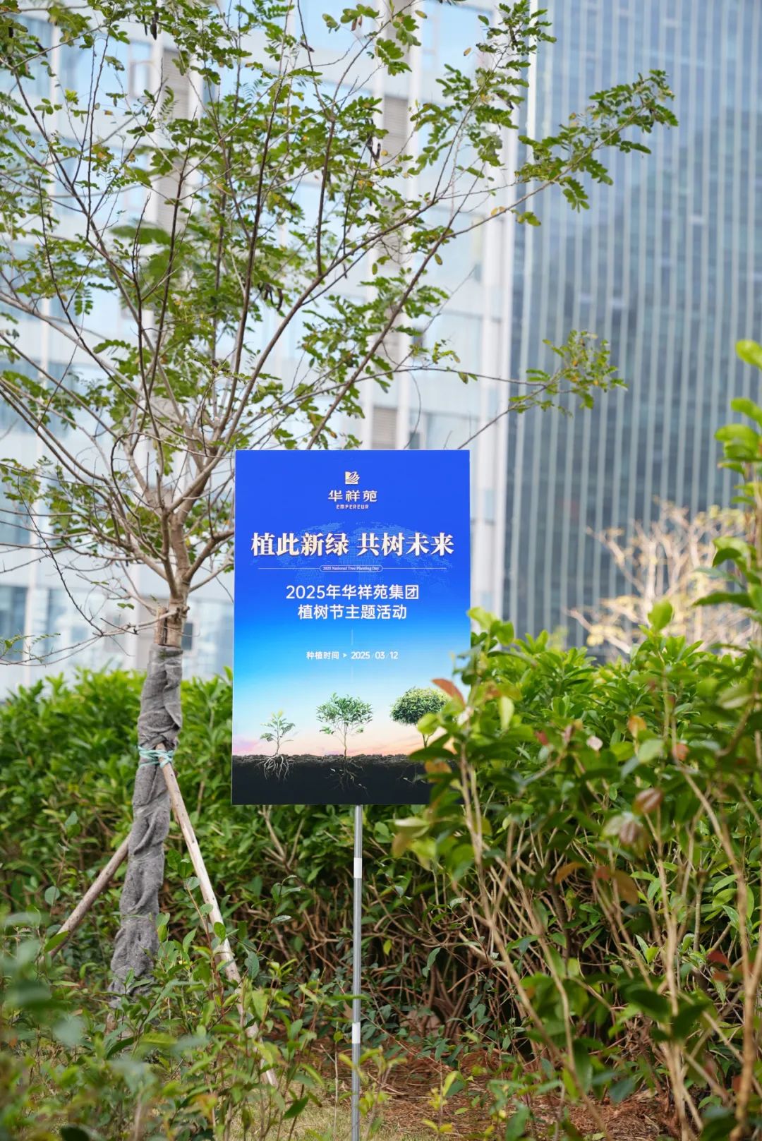 植树节