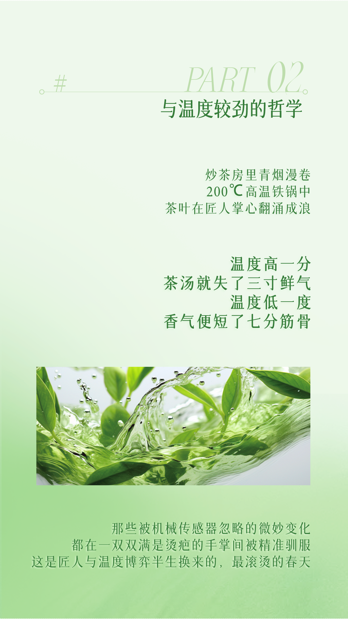 龙井茶