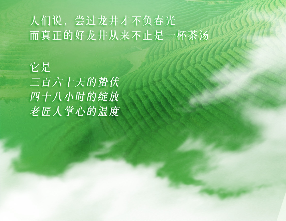 龙井茶