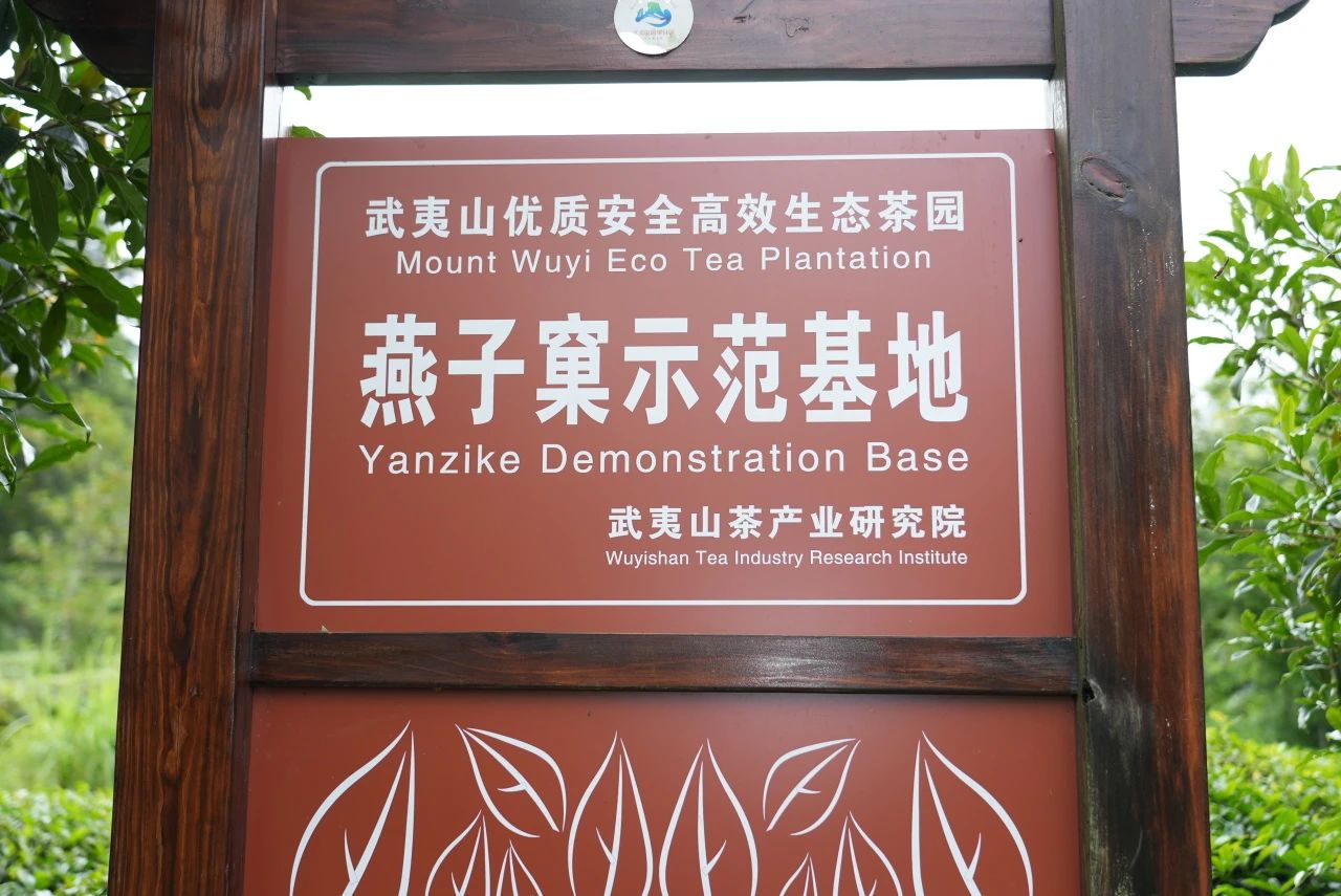 燕子窠
