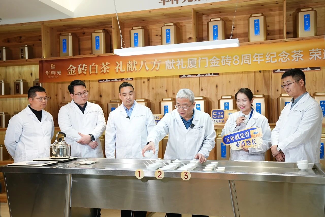 金砖白茶