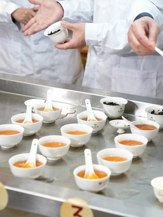 金砖白茶