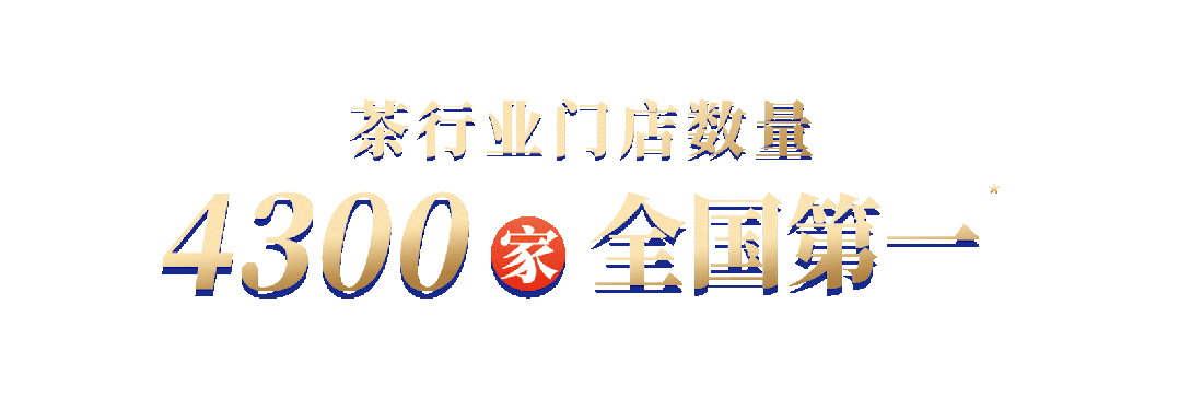 信阳毛尖