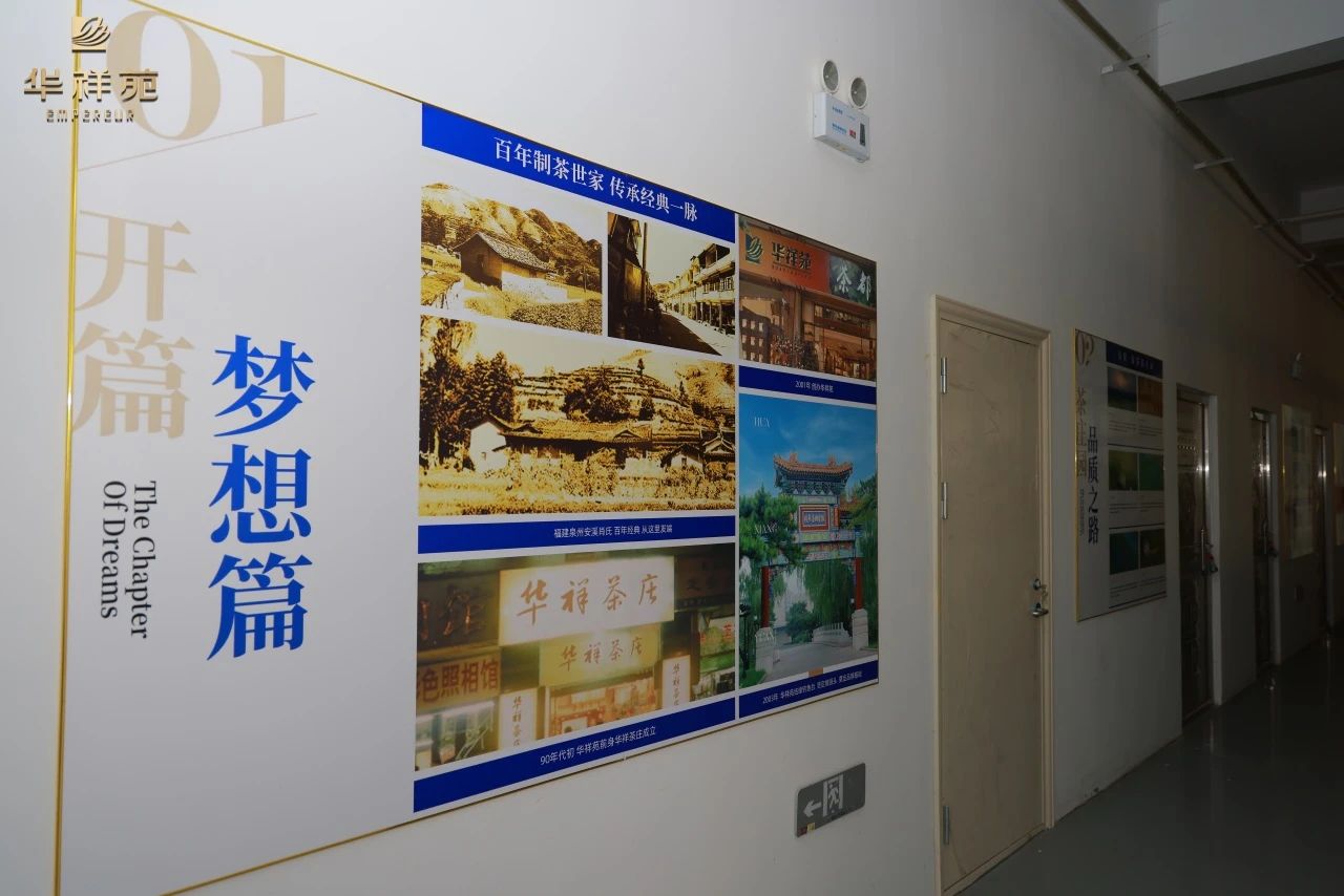 信阳毛尖