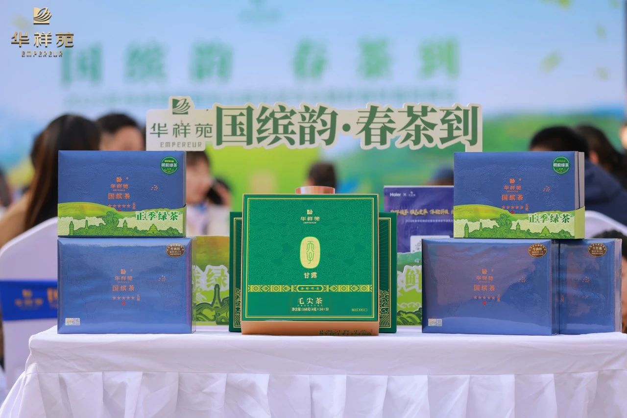 信阳毛尖