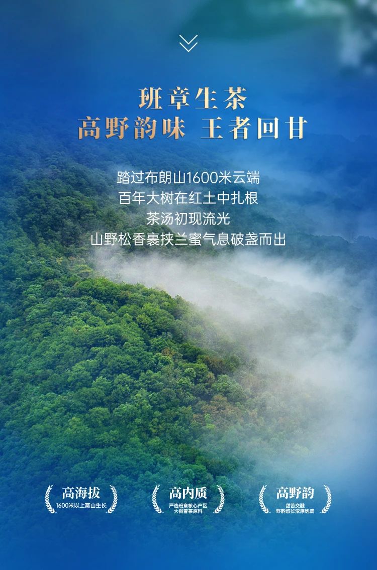 班章冰岛