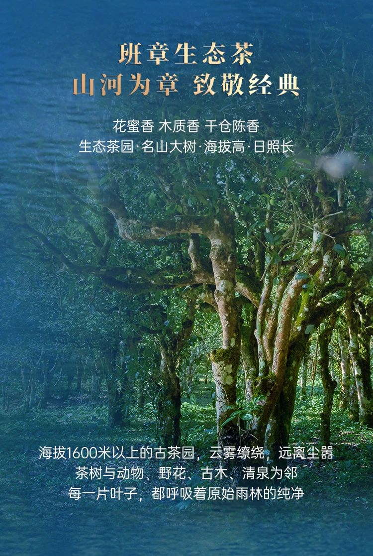 班章冰岛