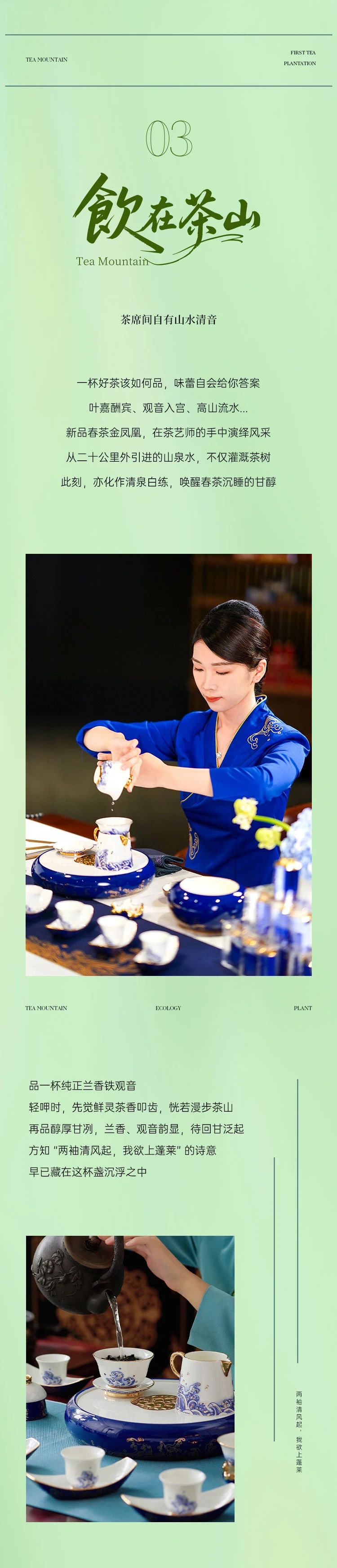 茶庄园