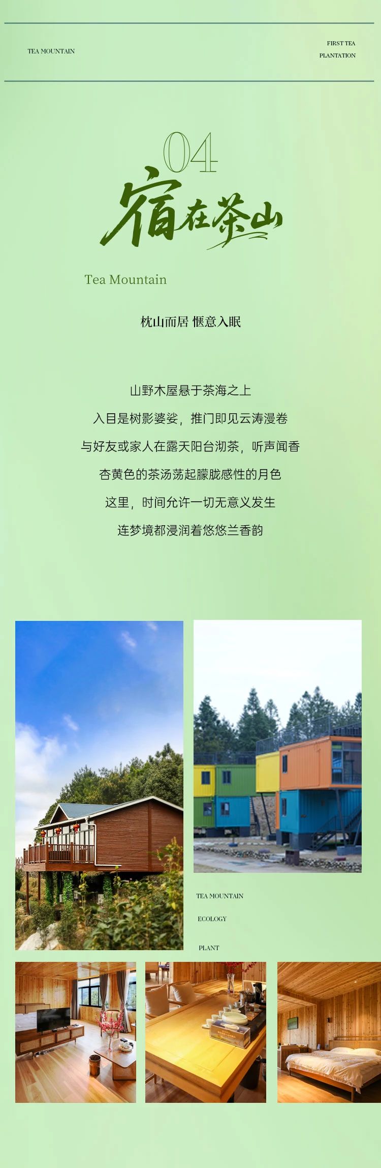 茶庄园