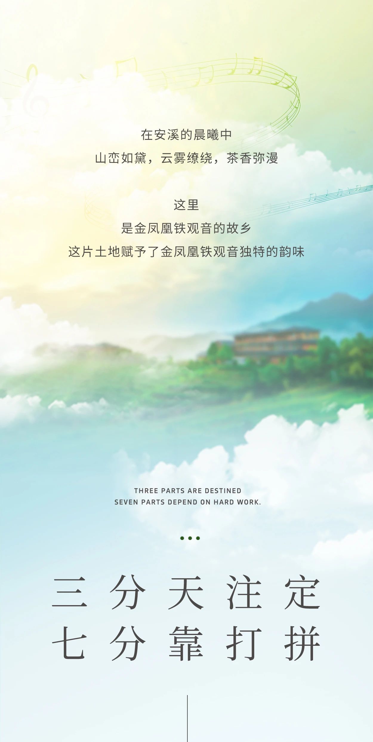 铁观音加盟