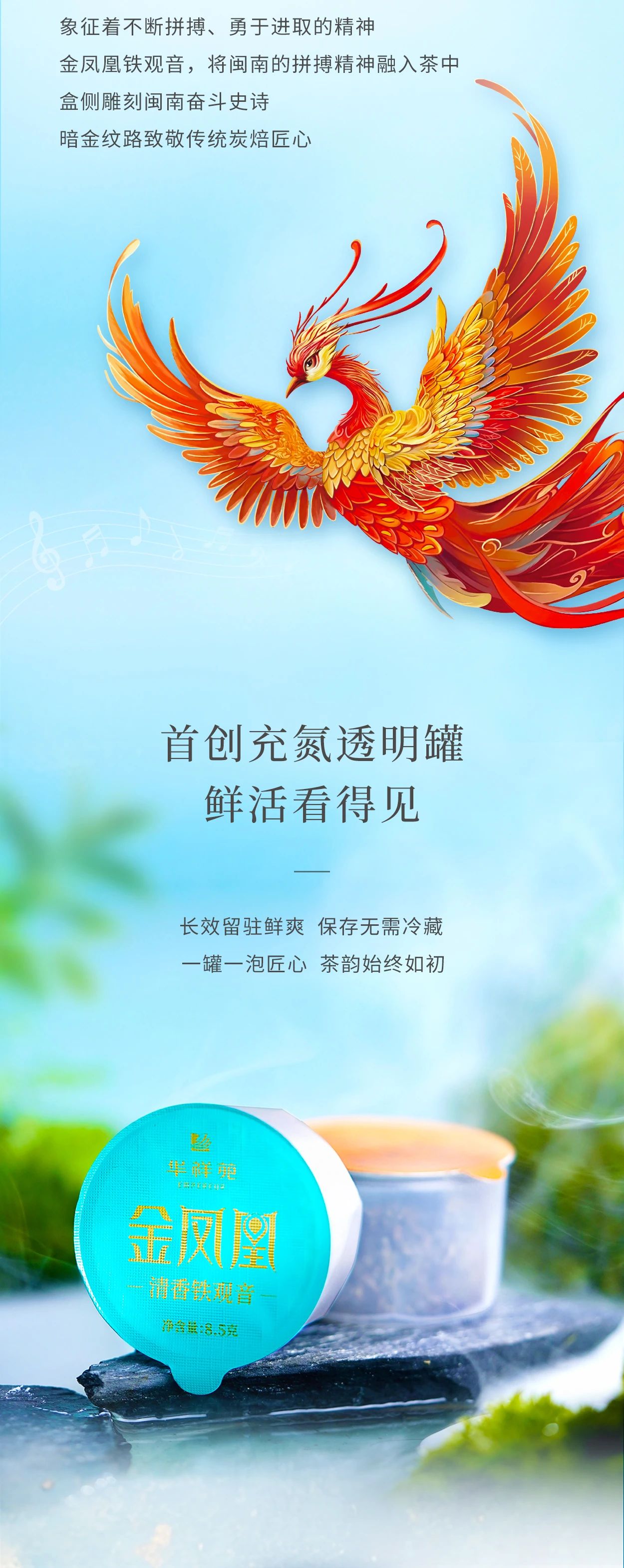 铁观音加盟