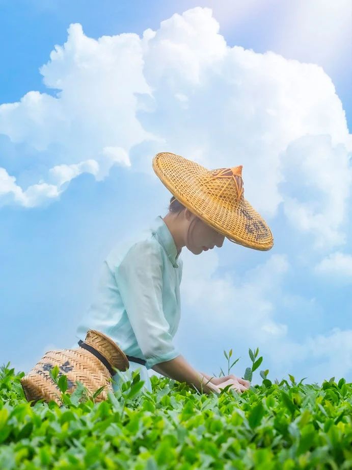 茶庄园