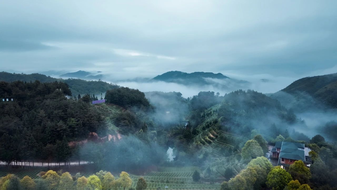 茶庄园加盟