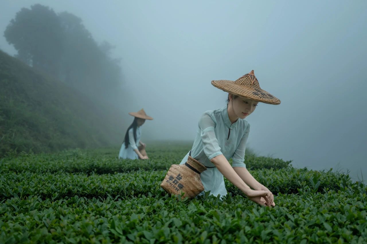 茶庄园加盟