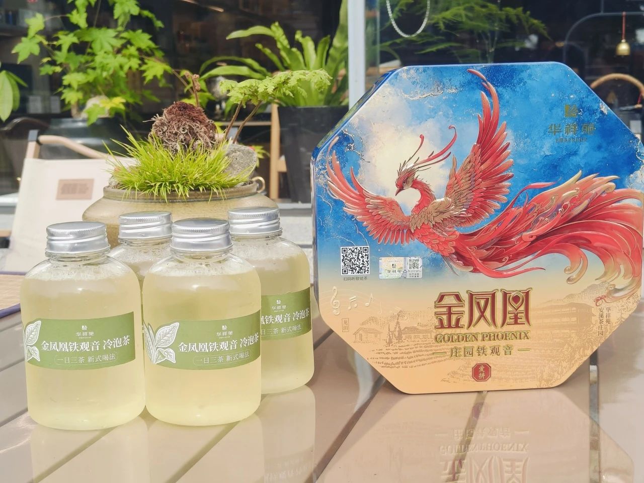 铁观音加盟
