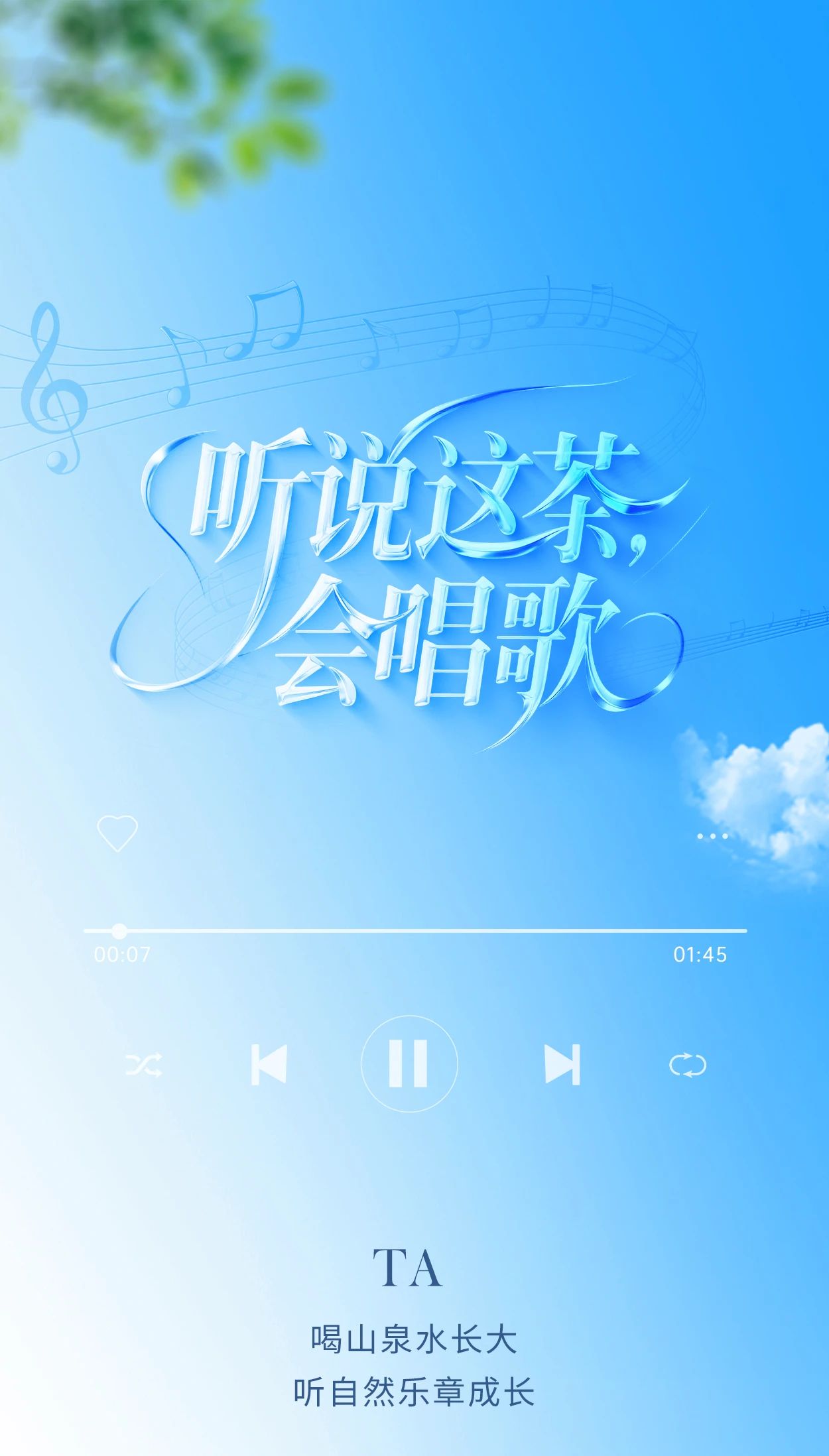 铁观音