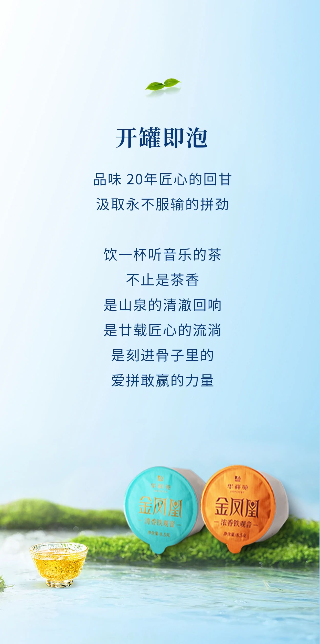 铁观音