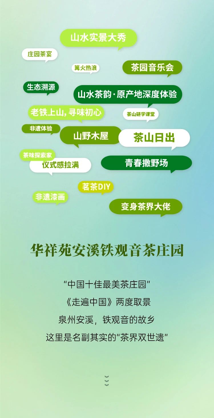 铁观音茶庄园
