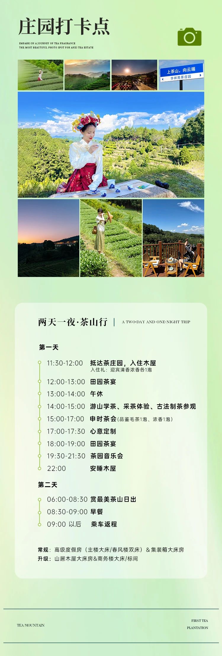 铁观音茶庄园