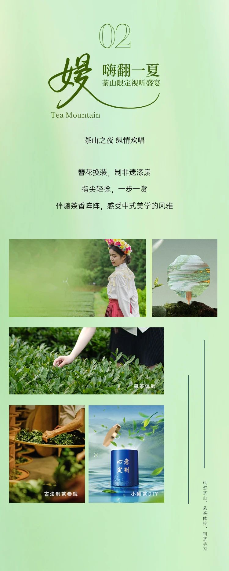 铁观音茶庄园