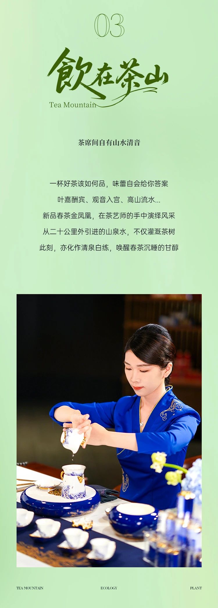 铁观音茶庄园