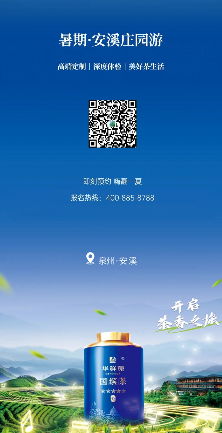 铁观音茶庄园