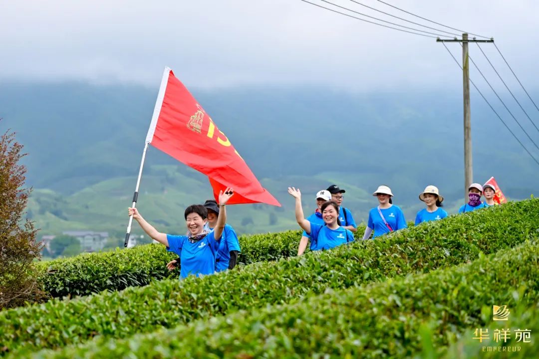 国缤茶加盟