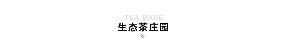 茶叶品牌加盟店